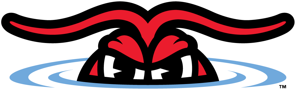 Hickory Crawdads 2016-Pres Alternate Logo v2 iron on transfers for clothing